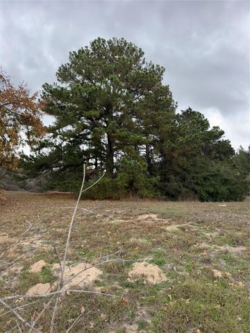 Lot 7 Cool Water DR, Bastrop, TX 78602