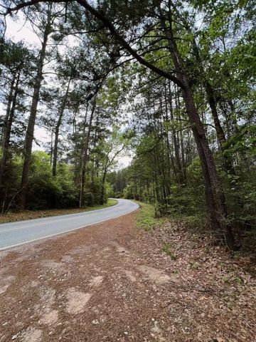 15689 Aspen Dr Drive, Montgomery, TX 77356