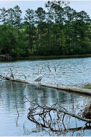 15689 Aspen Dr Drive, Montgomery, TX 77356