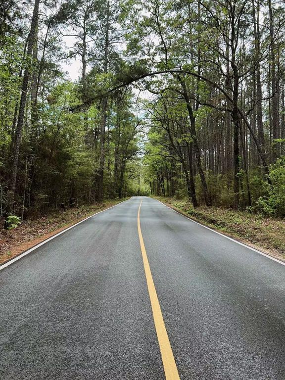 15689 Aspen Dr Drive, Montgomery, TX 77356