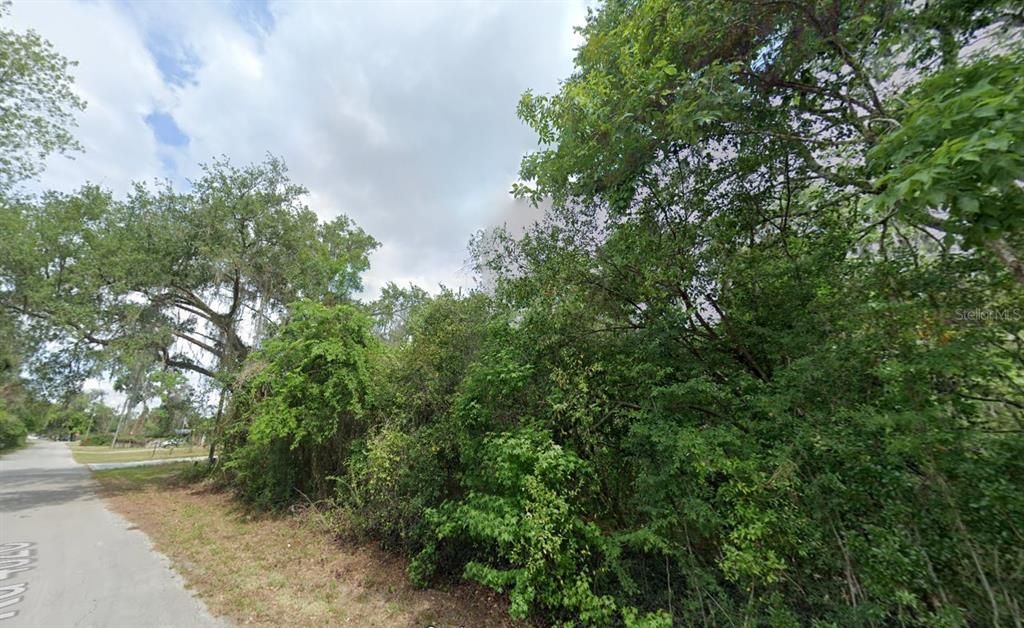 908 CR 482C, Lake Panasoffkee, FL 33538