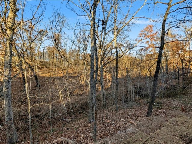 17 Burnham Drive, Bella Vista, AR 72715