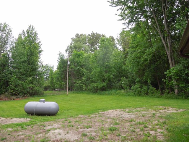 3311 Burgess Road, Beaverton, MI 48612