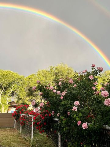 344 Merlot Lane, Los Lunas, NM 87031