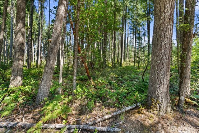 1030 E Phillips Lake Road, Shelton, WA 98584