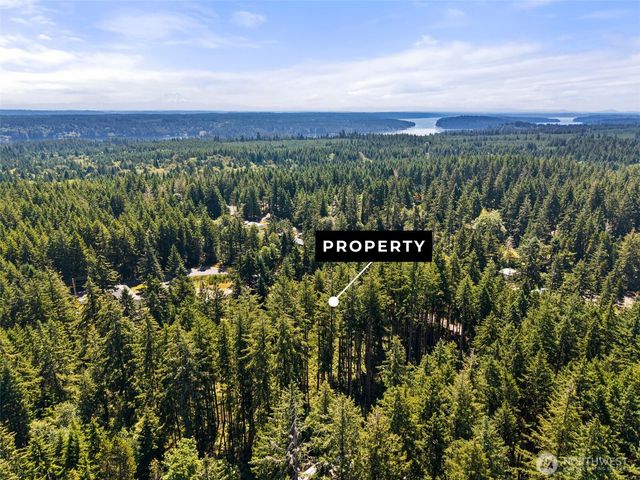 1030 E Phillips Lake Road, Shelton, WA 98584