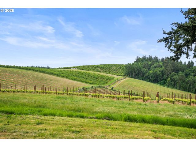 8810 Ne BLACKBURN Rd, Yamhill, OR 97148