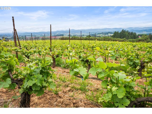 8810 Ne BLACKBURN Rd, Yamhill, OR 97148