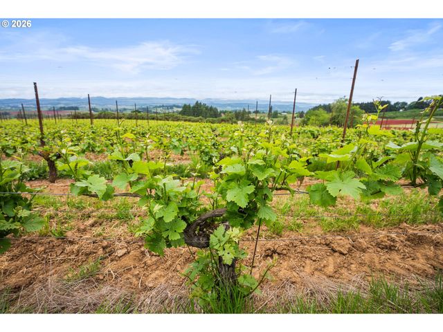 8810 Ne BLACKBURN Rd, Yamhill, OR 97148
