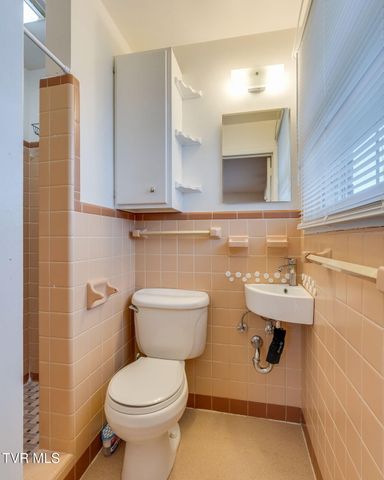 817 Mimosa Drive, Kingsport, TN 37660