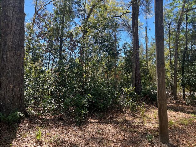 10304 NW 25TH COURT, Branford, FL 32008