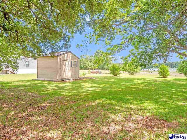 2017 Philadephia Street, Darlington, SC 29532