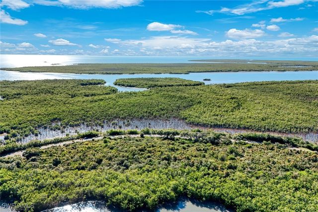 1011 Blue Hill Creek DR, Marco Island, FL 34145