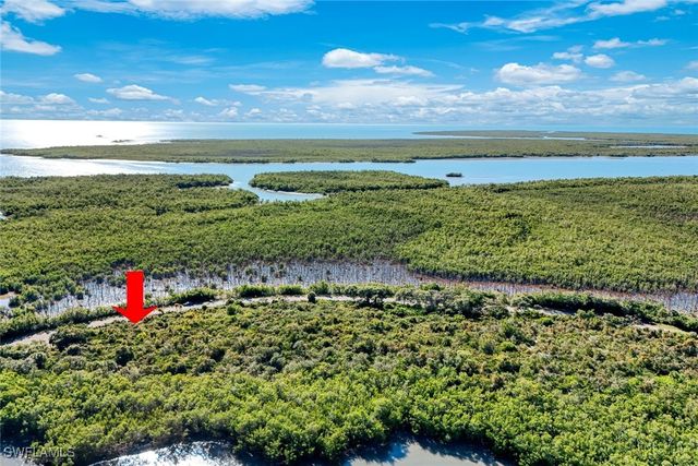 1011 Blue Hill Creek DR, Marco Island, FL 34145