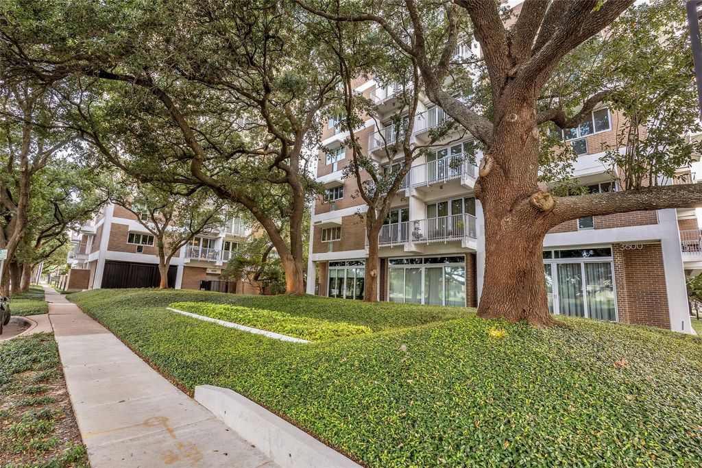 3614 Montrose Boulevard 900, Houston, TX 77006
