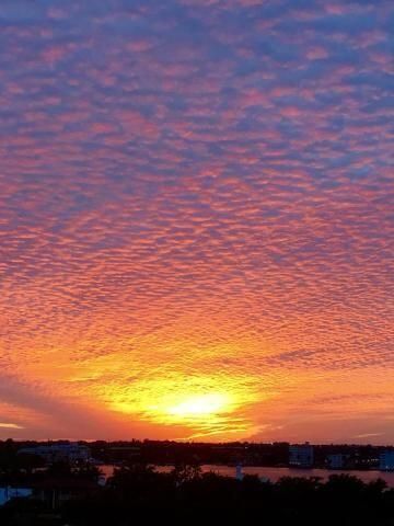 3589 S Ocean Boulevard 614, South Palm Beach, FL 33480