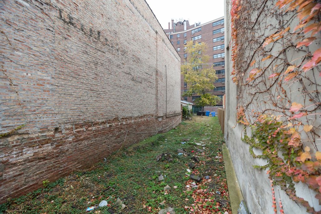 4923 S Champlain Avenue, Chicago, IL 60615 — photo 5