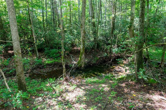 245 White Oak Creek Road, Burnsville, NC 28714