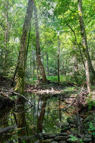 245 White Oak Creek Road, Burnsville, NC 28714