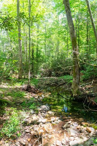 245 White Oak Creek Road, Burnsville, NC 28714