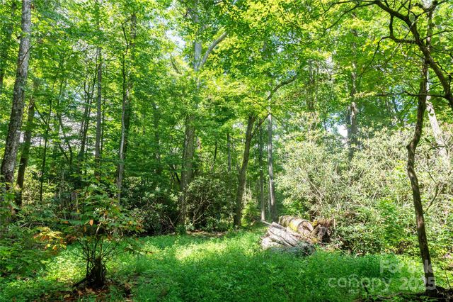 245 White Oak Creek Road, Burnsville, NC 28714