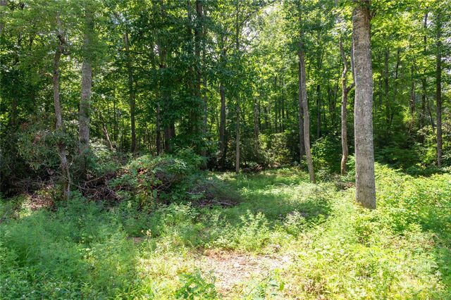 245 White Oak Creek Road, Burnsville, NC 28714