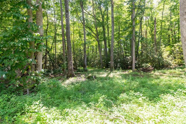 245 White Oak Creek Road, Burnsville, NC 28714