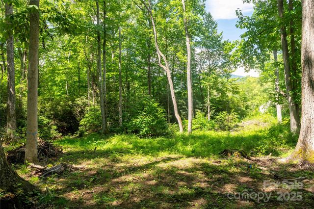 245 White Oak Creek Road, Burnsville, NC 28714