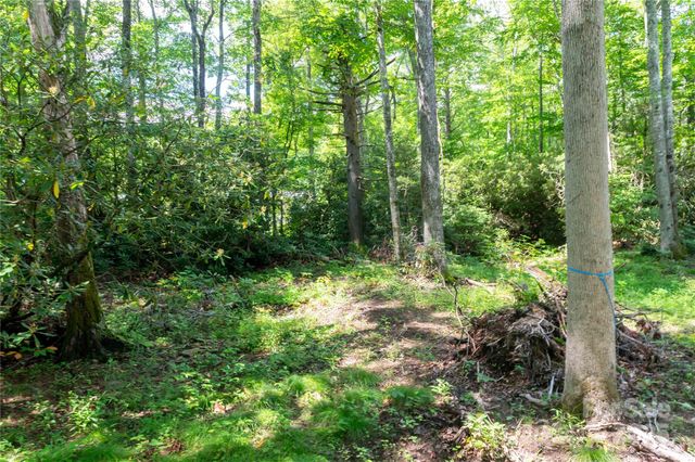 245 White Oak Creek Road, Burnsville, NC 28714