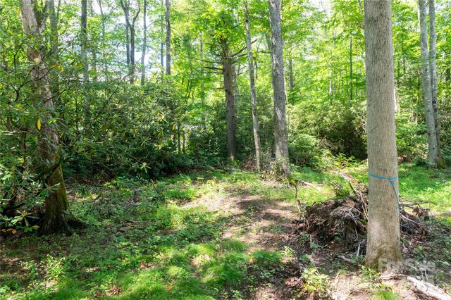 245 White Oak Creek Road, Burnsville, NC 28714