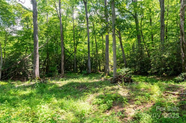 245 White Oak Creek Road, Burnsville, NC 28714