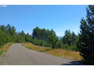 Manzanita St 233, Oceanside, OR 97134