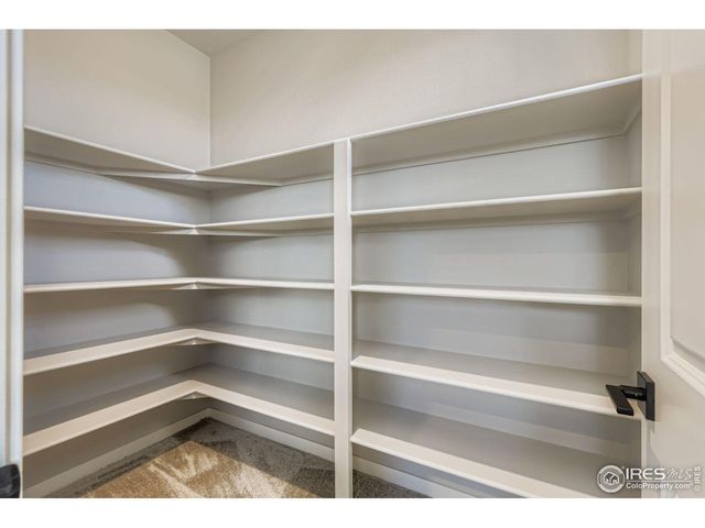 662 Noola St, Windsor, CO 80550