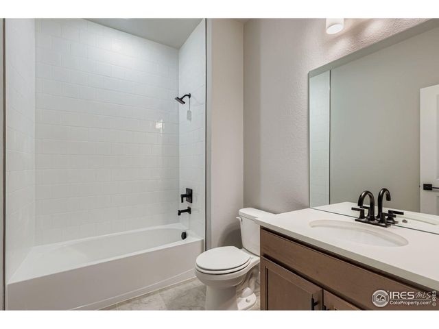 662 Noola St, Windsor, CO 80550