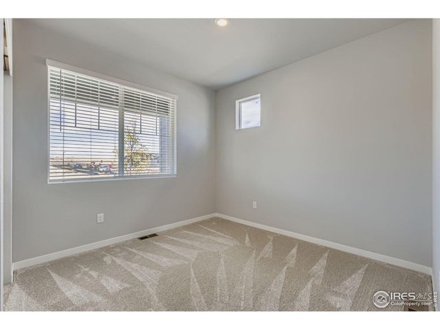 662 Noola St, Windsor, CO 80550