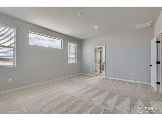 662 Noola St, Windsor, CO 80550
