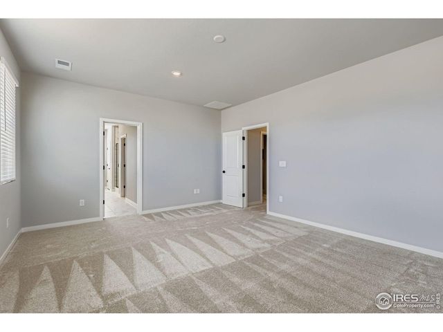 662 Noola St, Windsor, CO 80550