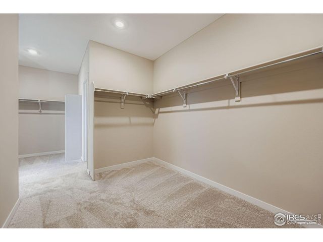 662 Noola St, Windsor, CO 80550