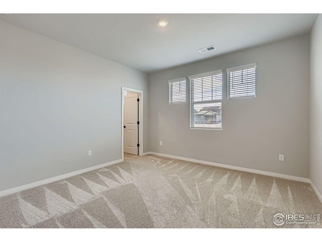 662 Noola St, Windsor, CO 80550