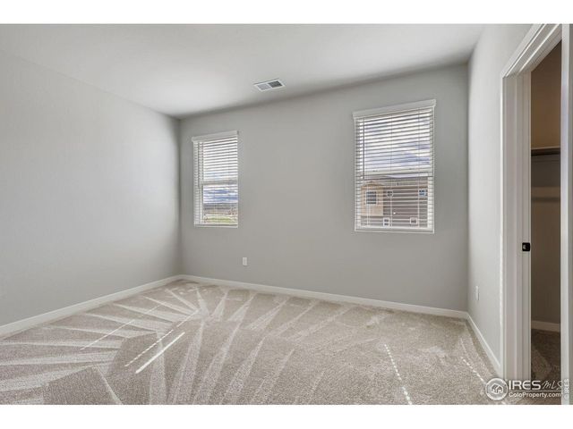 662 Noola St, Windsor, CO 80550