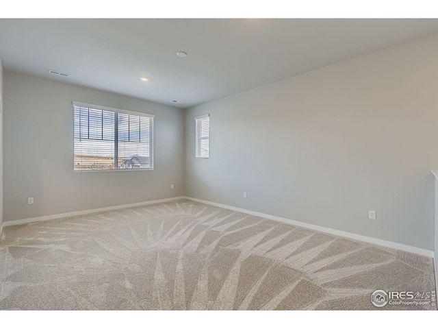 662 Noola St, Windsor, CO 80550