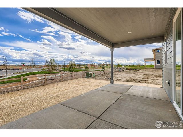 662 Noola St, Windsor, CO 80550