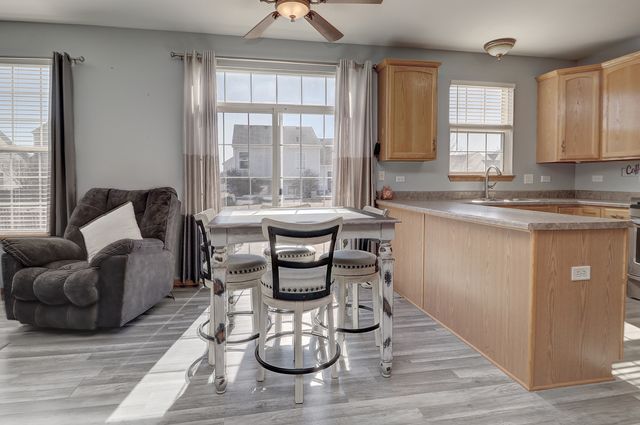 1625 Amaryllis Drive, Romeoville, IL 60446