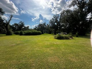 TBA Cr 842 Lot 13, Brazoria, TX 77422