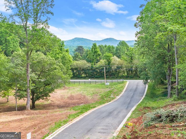 LOT 6 Lowe Lane, Talking Rock, GA 30175