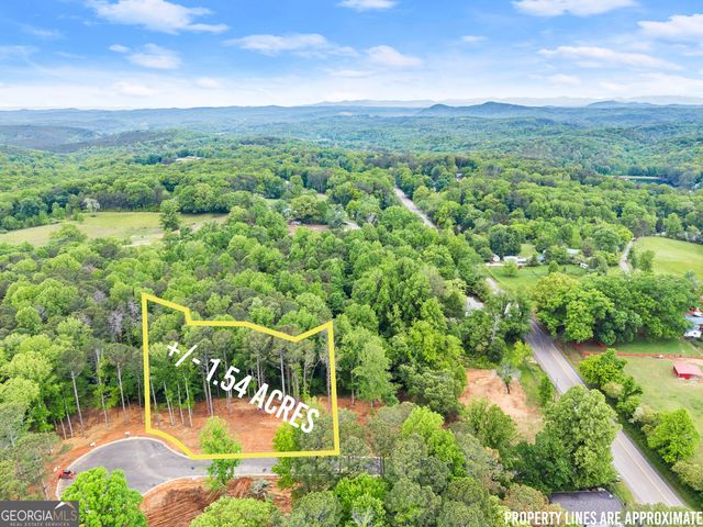 LOT 6 Lowe Lane, Talking Rock, GA 30175