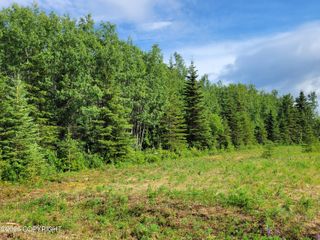 47929 Melinda Way, Soldotna, AK 99669