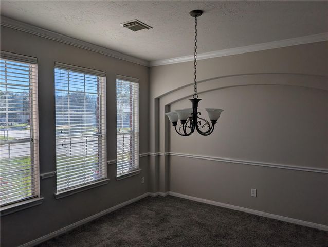 17703 Towne Bridge Drive, Tomball, TX 77377