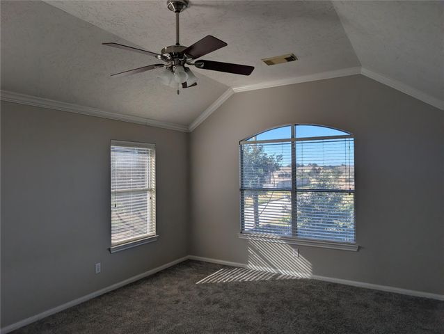 17703 Towne Bridge Drive, Tomball, TX 77377