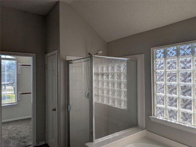 17703 Towne Bridge Drive, Tomball, TX 77377